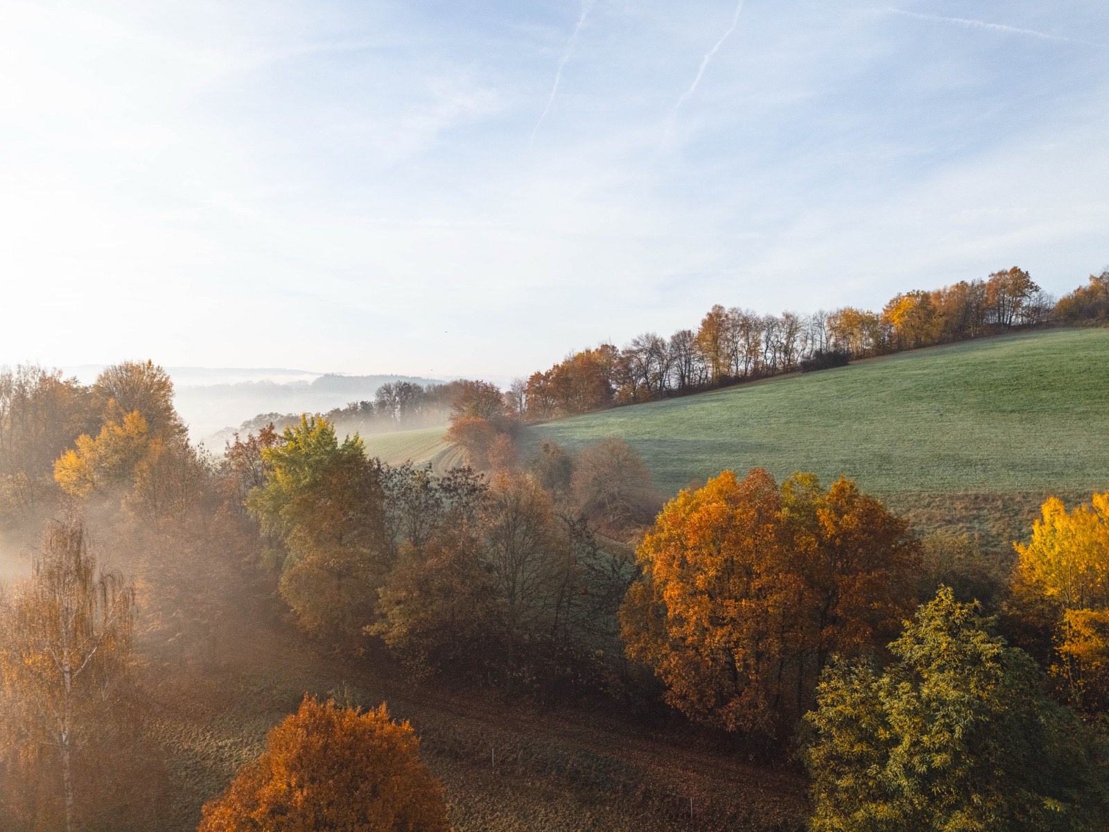 Étang de campagne